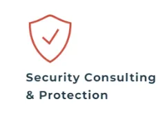 Security consulting and protection service illustration